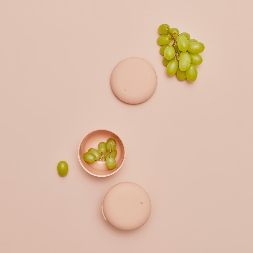 Small Store & Go Food Container - Blush - Set of 2